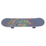  DEČIJI SKEJTBORD TS-2406 MOTIV 3 Cene