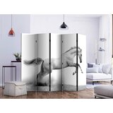 Artgeist Paravan White Gallop I, 5-Delni, Dvostranski | Shoptok.si