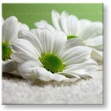  Stenska slika Cvetje 30x30 cm | Shoptok.si