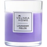 VELNEA HOME lavanda mirisna sveća | Eponuda.com