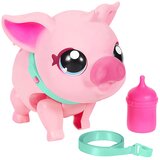 Little live pets Interaktivna svinja COZY DOZY PIGGLY | Eponuda.ba