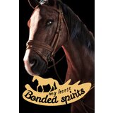 Steam My Horse: Bonded Spirits (PC) Key GLOBAL | ePonuda.com
