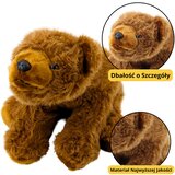 Plišana igračka Medvjedić za Maženje 28cm - smeđi | shoptok.hr