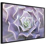  Poster - Like a Flower 90x60 | shoptok.hr