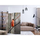  Paravan u 3 dijela - Bullfinch in the forest [Room Dividers] 135x172 | shoptok.hr