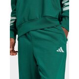 Adidas Športne hlače smaragd / meta | Shoptok.si