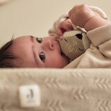 Jollein glodalica | ePonuda.com