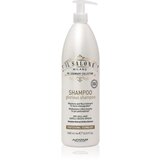 ALFAPARF MILANO Il Salone Milano Glorious hranilni šampon za poškodovane lase 1000 ml Cene