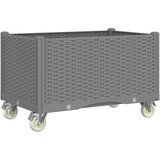  Cvetlično korito s kolesi svetlo sivo 80x50x54 cm PP | Shoptok.si