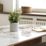 House Nordic Umjetna biljka (visina 33,5 cm) Succulent – | shoptok.hr