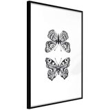  Poster - Butterfly Collection I 40x60 | shoptok.hr