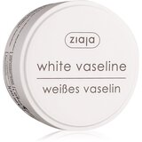 Ziaja Basic Care bel vazelin 30 ml | Shoptok.si