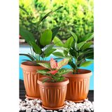 WALLXPERT URGSKS-3 brown vase set Cene