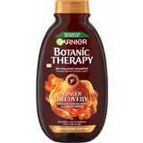 Garnier botanic therapy honey ginger šampon za iscrpljenu, tanku kosu 250 ml Cene