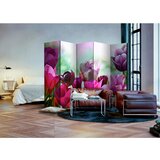 Artgeist Paravan Beautiful Tulips I, 5-Delni, Dvostranski | Shoptok.si