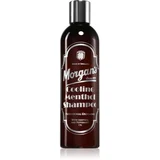 Cooling Menthol Shampoo spodbujajoči šampon z mentolom za lase in lasišče za moške 250 ml