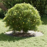  Pogodno za ravni drveni prsten Srebrno Ø40/70 cm | shoptok.hr