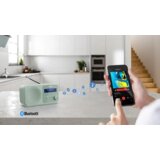 Sharp Prenosni DAB radio TOKYO DR-P420 GN | Shoptok.si