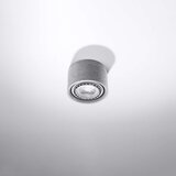  Sollux SL.0881 - Stropna svetiljka BASIC AR111 1xGU10/40W/230V beton | Eponuda.com