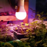  LED sijalica za rast biljaka PLANTY E27/11W/230V 1200K bela | Eponuda.com
