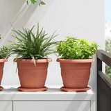  Kružni Pladanj za Cvijeće 6 pcs Crvena cigla Ø 17,5 x 2 cm | shoptok.hr