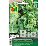BIO romanska solata "Zieglers Wiener Maidivi" | Shoptok.si