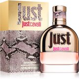 Roberto Cavalli Just Cavalli toaletna voda za ženske 50 ml | Shoptok.si