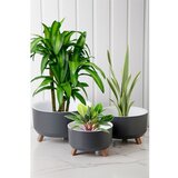 WALLXPERT TRPTSKS-1-3 grey vase set Cene