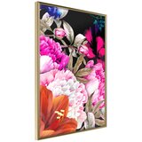  Poster - Summer Night's Dream III 20x30 Cijene
