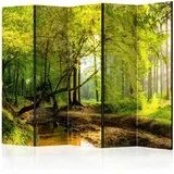 Paravan - Forest Clearing II 225x172 Jednostrani