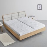 Bessagi Home Oblazinjena Postelja Dormio, Hrast, 180x200 | Shoptok.si