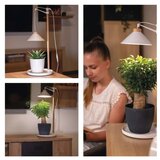  LED unutrašnja lampa za uzgoj biljaka GROW LED/7W/5V | Eponuda.com