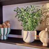 OYOY Mini Ručno rađena ukrasna tegla za cvijeće od kamenine ø 9 cm Elephant – | shoptok.hr