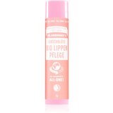 DR. BRONNER'S Cherry Blossom Lip Balm balzam za usne 4 g | shoptok.hr