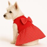 Paws & Whiskers Odelo za pse, Crveno Cene