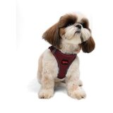 Paws & Whiskers Am za pse Air Mesh Claret Red XS | Eponuda.com