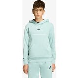 Adidas Dukserica Slogan Fleece Hoodie Cene