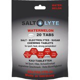 SALTOLYTE Žvečljive tablete s soljo in elektroliti - Watermelon Cene