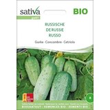 Sativa Ekološka kumara "Russische" Cene