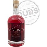  GINfinity Pink 0,5L Cene