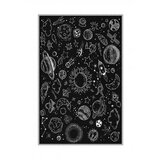 Conceptum Hypnose tepih (140x220) HMNT488 | ePonuda.com