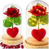 Eternal Rose in Dome with LED Lighting Red with Heart 14x8cm | Shoptok.si