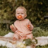 Bibs tolažilna duda - silikon Supreme s simetričnim cucljem 6-18 m 2/1 meadow/earth | Shoptok.si