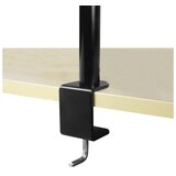 Arctic Z2 Basic dual nosačza monitore, desk mountdual monitor arm | Eponuda.ba