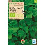 Samen Maier BIO novozelandska špinača Cene