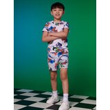 Sinsay majica kratkih rukava Hot Wheels za dječake 7105Z-00X | shoptok.hr