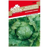  Salata Dalmatinska Ledenka Royal Seeds | Eponuda.ba
