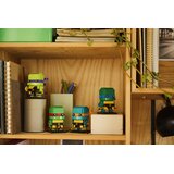 Lego brickheadz - figure teenage mutant ninja turtles (40878) | Eponuda.com