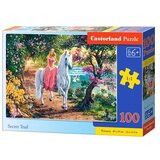 Puzzle 100 B-111114 TAJNI TRAG | Eponuda.ba