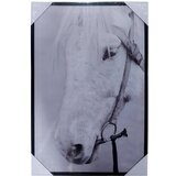 Master Slika Canvas 40x60x3,5cm Konji | Eponuda.ba